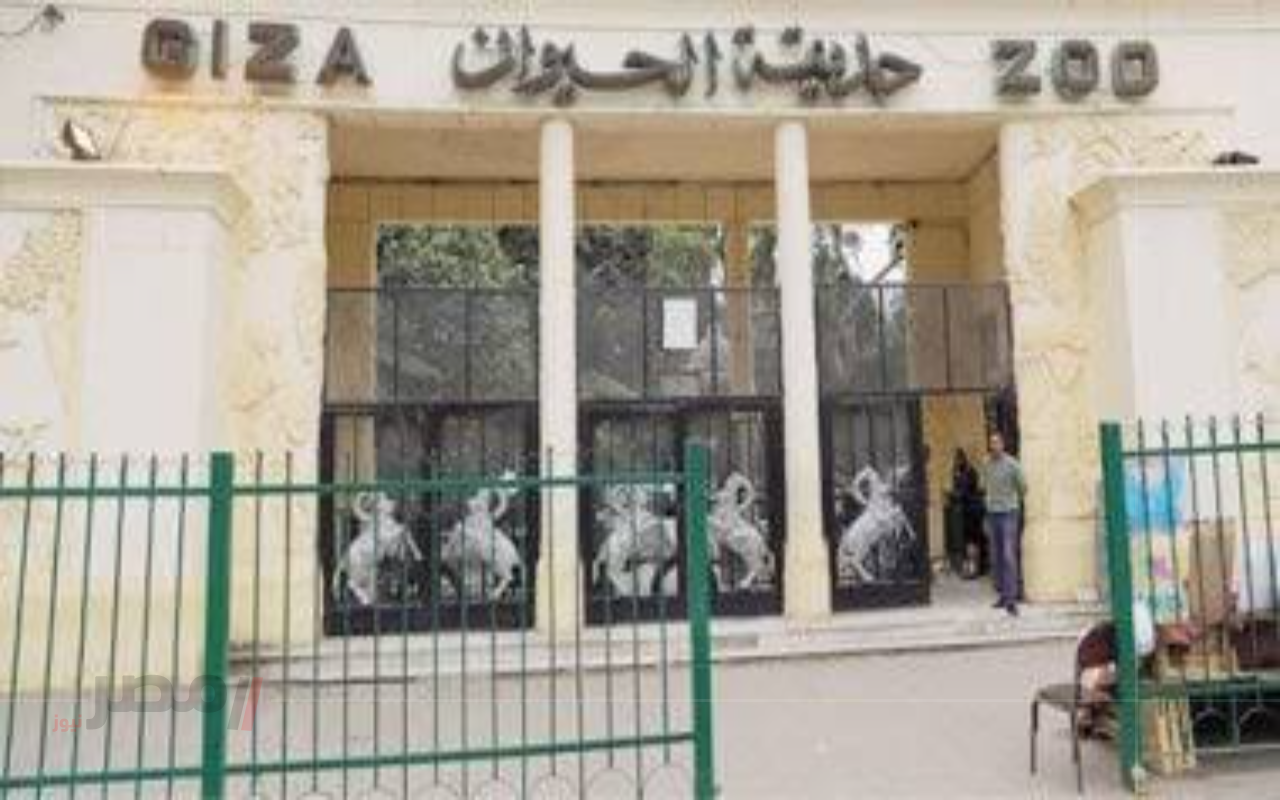 افتتاح بيت الفيل الجديد في حديقة الحيوان بالجيزة يثير اهتمام واسع بين الزوار –