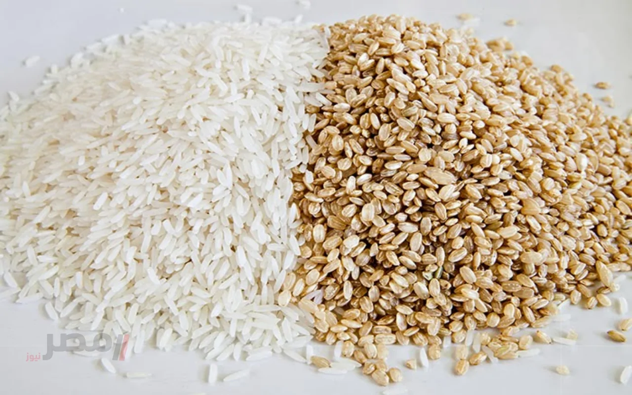 الآن سعر طن الأرز الشعير اليوم السبت 16 أغسطس وبجميع الأسواق المحلية واسعار السلع-