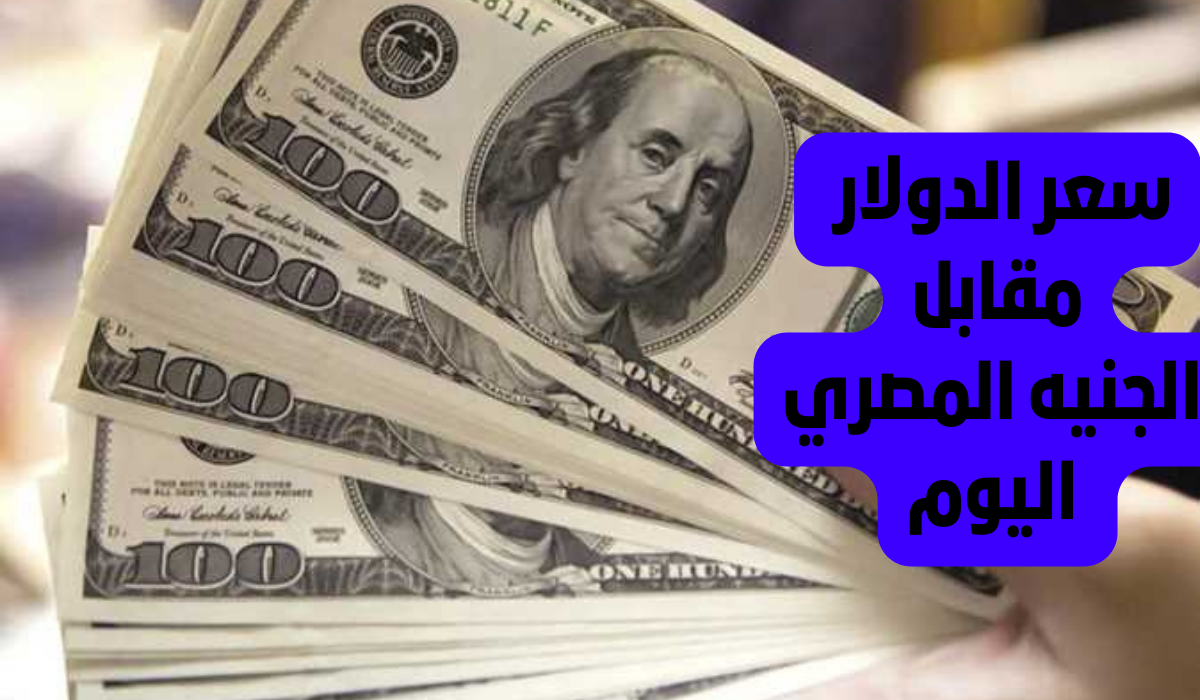 الأمريكي وصل كام.. سعر الدولار مقابل الجنيه المصري اليوم الخميس 21/8 بالبنوك		–
