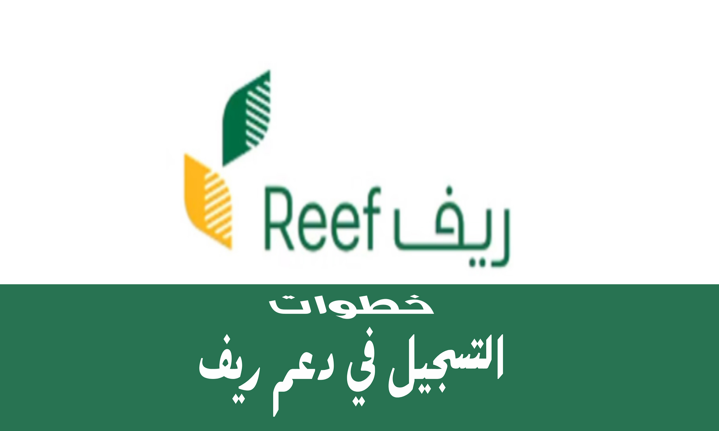 6 خطوات للتسجيل في دعم ريف و4 أسباب لرفض طلبك