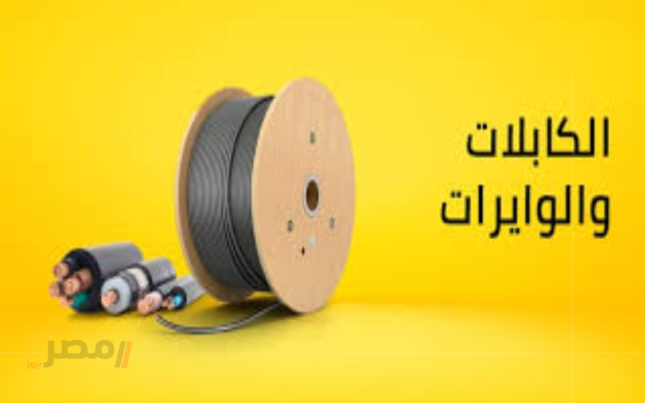 لأول مرة سرقة كابلات كهربائية.. تتسبب في توقف الحضور وتحويل الدراسة في 51 مدرسة إلى التعليم عن بعد فما التفاصيل		–