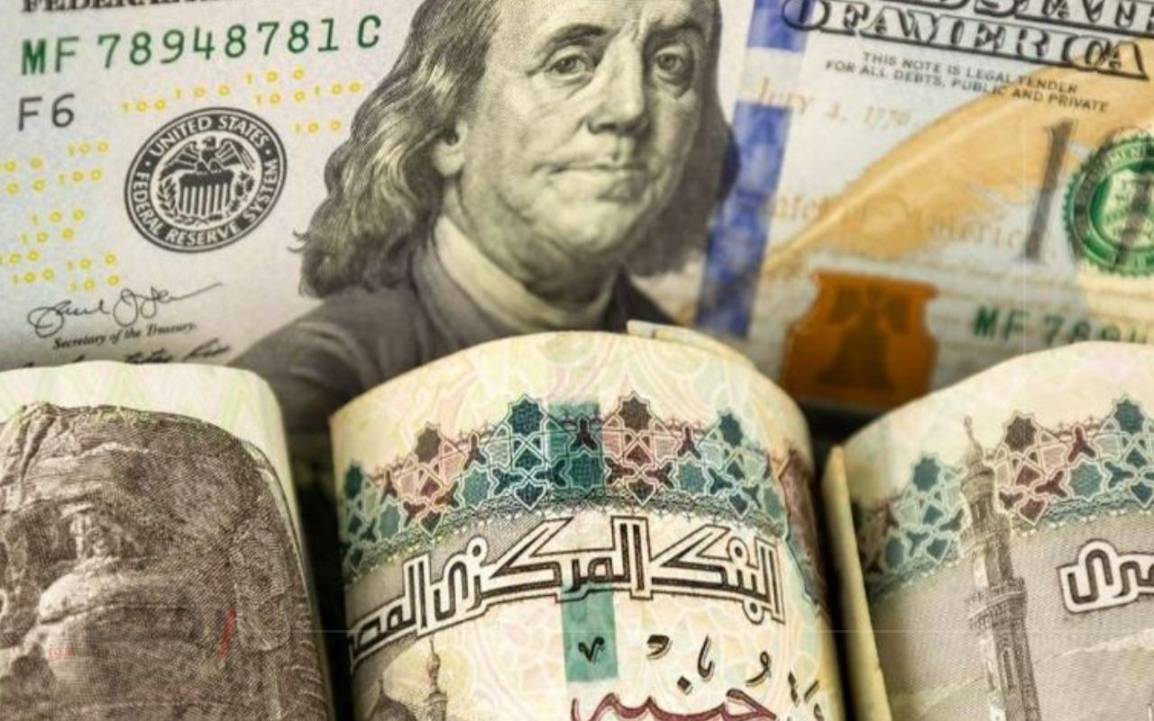 “مستقر وهادي” سعر الدولار في مصر اليوم الأربعاء 20 أغسطس 2025 .. استقرار حذر يسبق قرارات البنوك		–