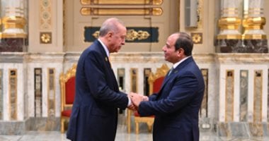 الرئيس السيسى وأردوغان يؤكدان ضرورة إنهاء الكارثة الإنسانية بغزة ورفض التهجير