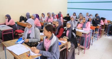 تعليم الجيزة تكشف تفاصيل انتشار فيروس HFMD بين طلاب مدرسة دولية