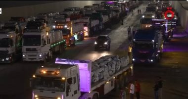 انطلاق قافلة المساعدات الـ36 من مصر إلى قطاع غزة.. فيديو