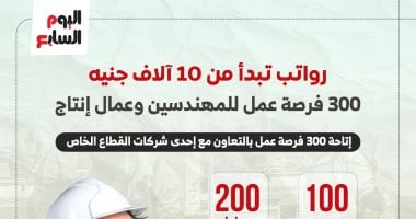 300 فرصة عمل فى الجيزة بمرتبات تصل إلى 10 آلاف جنيه.. إنفوجراف