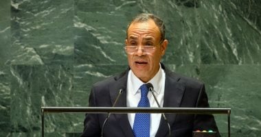 وزير الخارجية: مصر طرحت خطة متكاملة للتعافى المبكر وإعادة الإعمار فى غزة