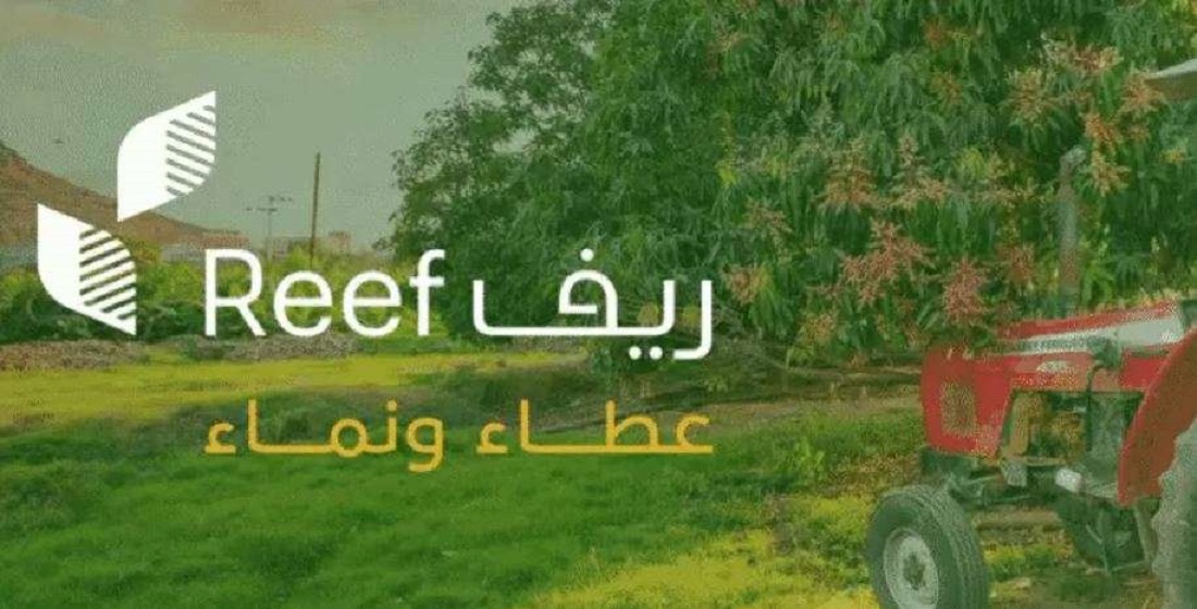 دعم ريف يوضح الإجراء المتخذ في حالة إن قام أحد تقديم معلومة مضللة
