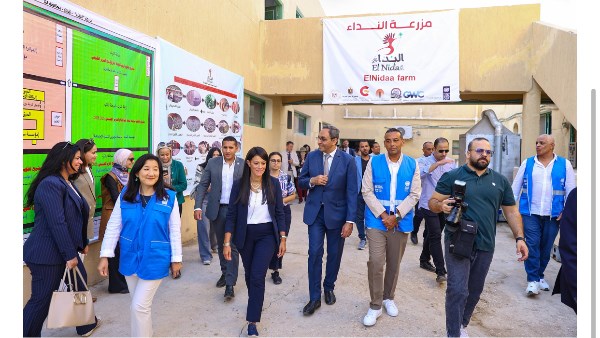 مشروعات في الصعيد لتوفير فرص العمل ورفع مستوى معيشة المواطنين