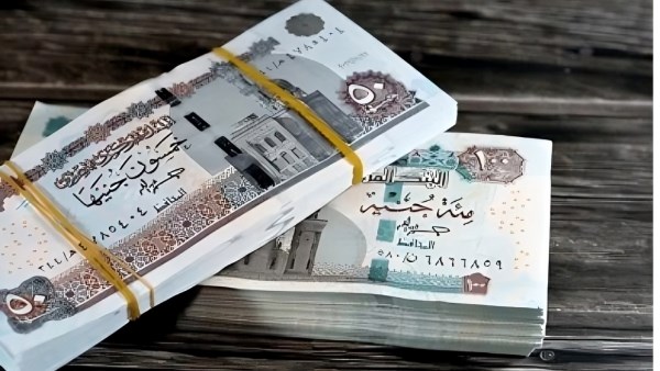 لكل المصريين.. المالية تصدر موازنة المواطن للعام الـ 12 على التوالي