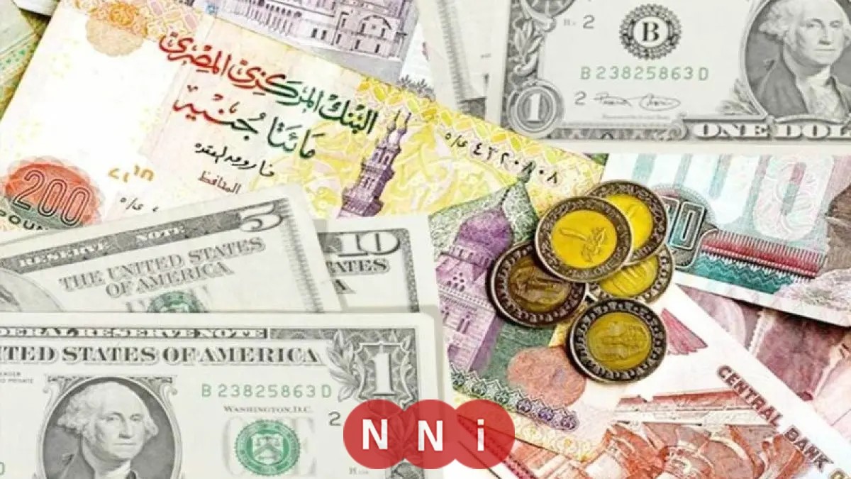 الدولار سيصل إلى 35 جنيهاً.. رئيس لجنة الخطة والموازنة يعلن توقعات إيجابية