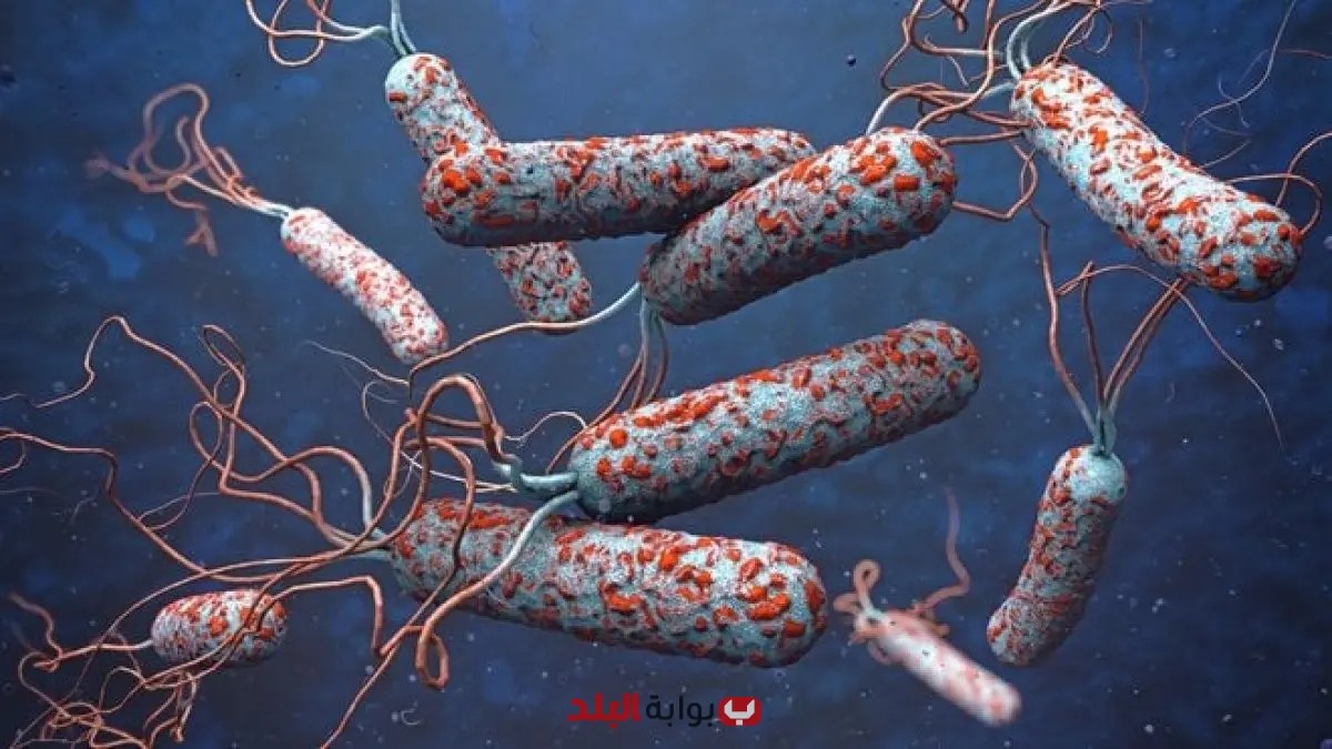 إفريقيا تطلق خطة استجابة شاملة لمواجهة الكوليرا وتقليل ضحايا المرض