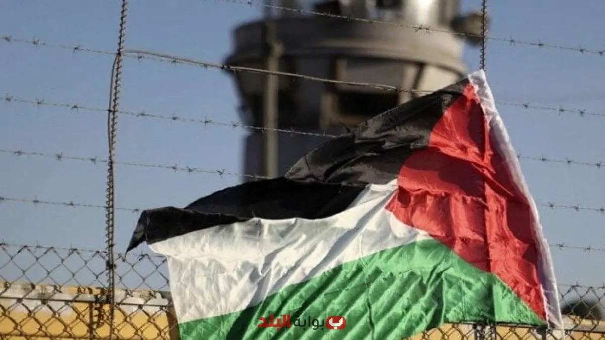 نادى الأسير الفلسطينى يسلط الضوء على تصاعد جرائم القمع والتجويع وانتشار الأمراض في سجون الاحتلال
