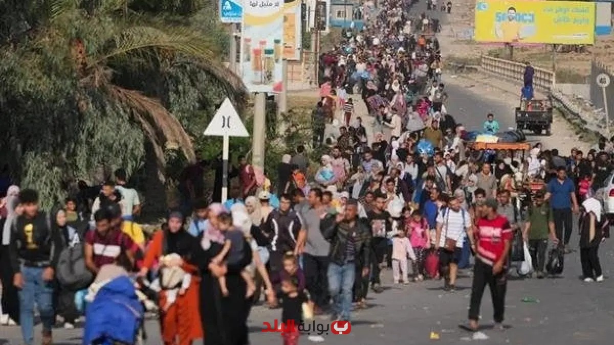 خبراء يعلنون أن مصر ترفض التهجير وتتمسك بحق الفلسطينيين في القضية الفلسطينية