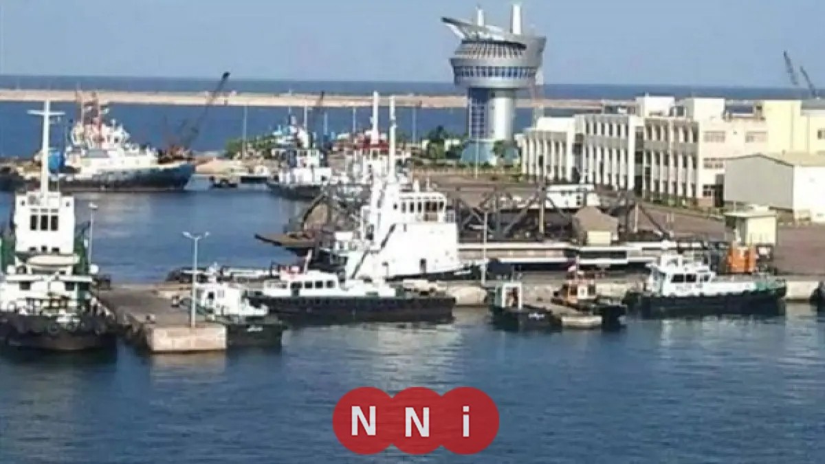 ميناء دمياط يستقبل 18 سفينة خلال 24 ساعة
