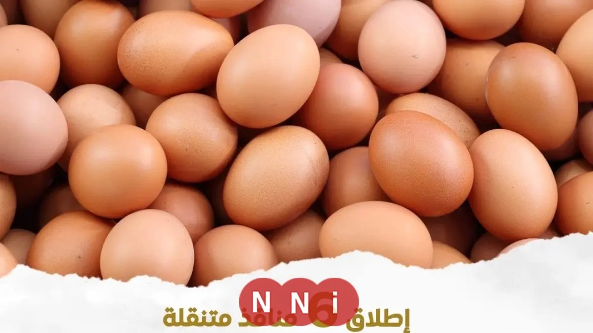 بيوت متنقلة لبيع بيض المائدة بأسعار منخفضة في القاهرة والجيزة