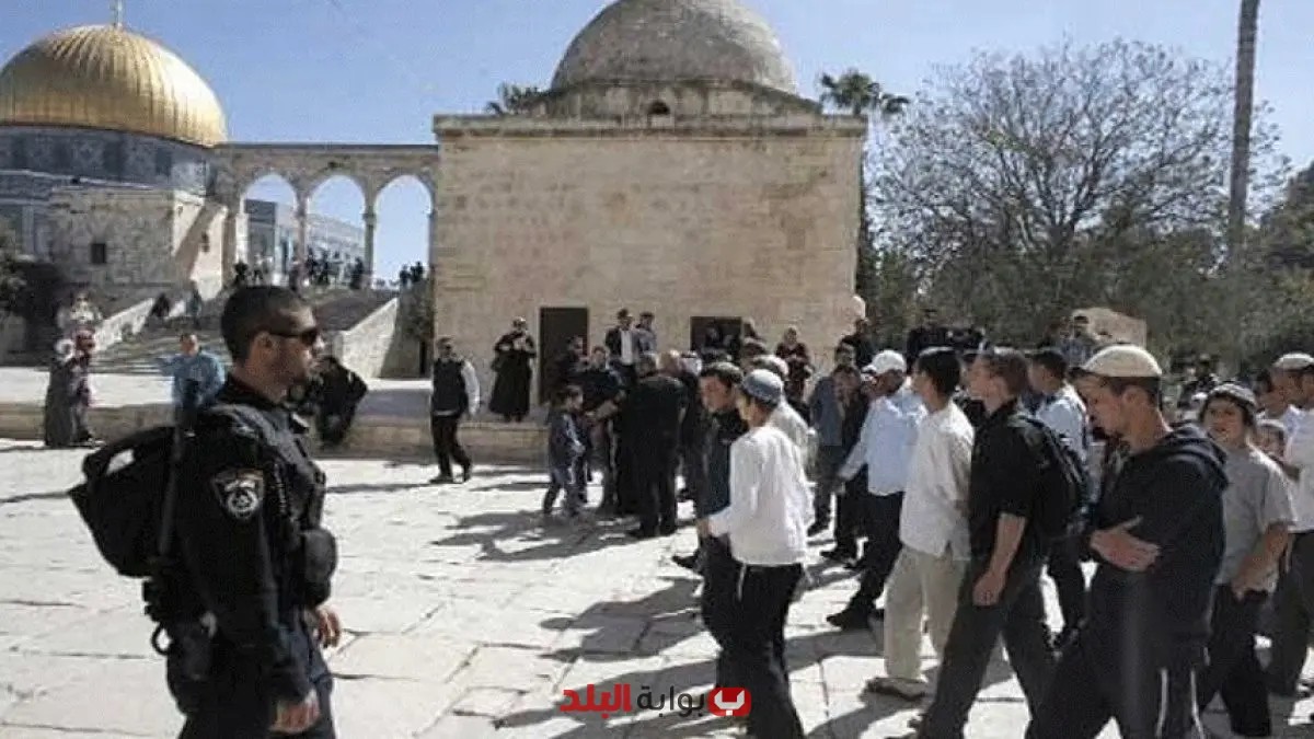 عشرات المستوطنين يقتحمون المسجد الأقصى واعتقال 11 فلسطينيا من الضفة الغربية