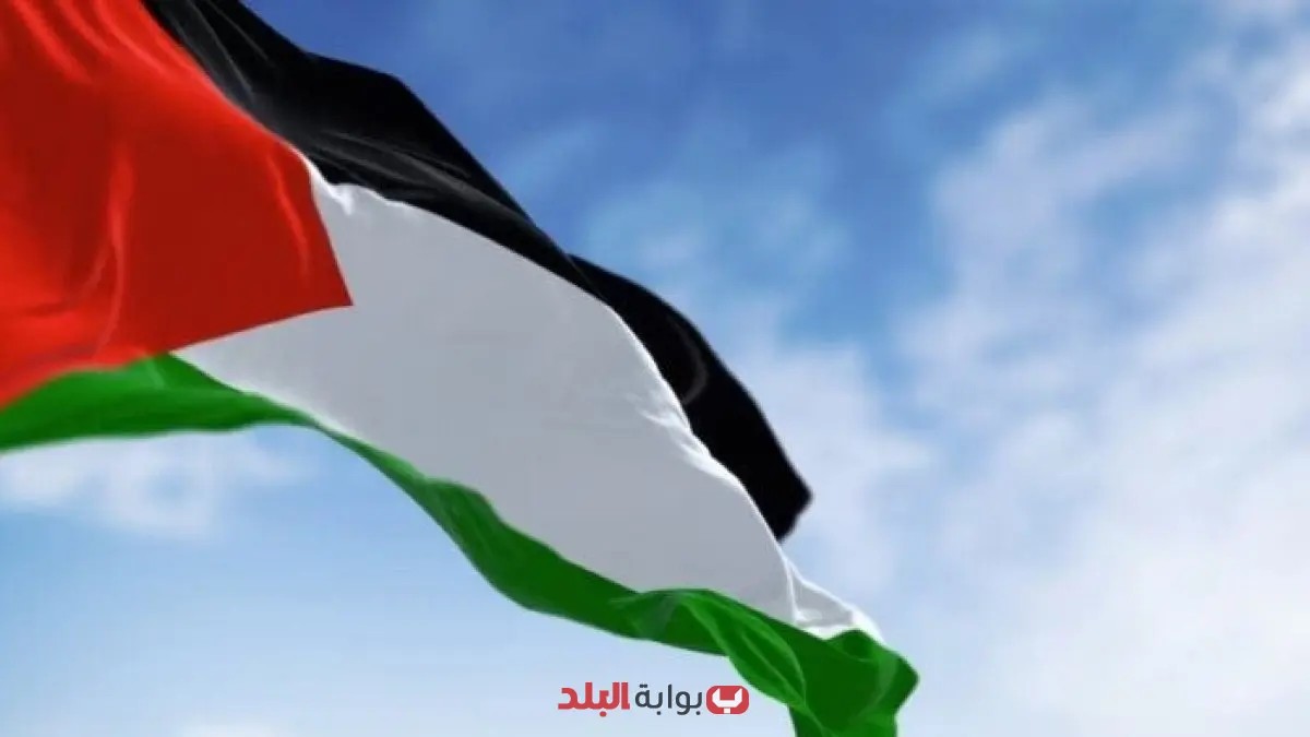مندوب باكستان في الأمم المتحدة يبرز أهمية الالتزام بالقانون الدولي لتحقيق دولة فلسطينية متصلة الأراضي