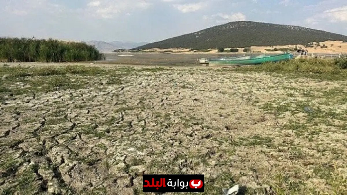 أغسطس 2025 يشهد أكبر موجة جفاف في أوروبا والبحر الأبيض المتوسط منذ 2012