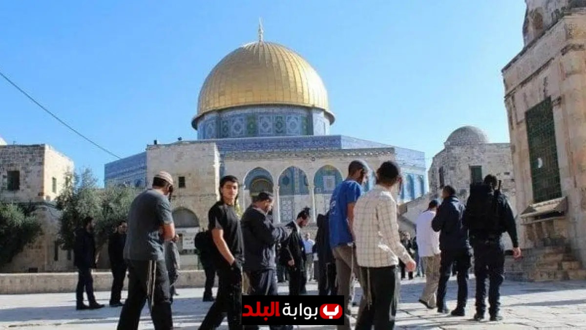 مستوطنون إسرائيليون يهاجمون المسجد الأقصى تحت حراسة مشددة من شرطة الاحتلال