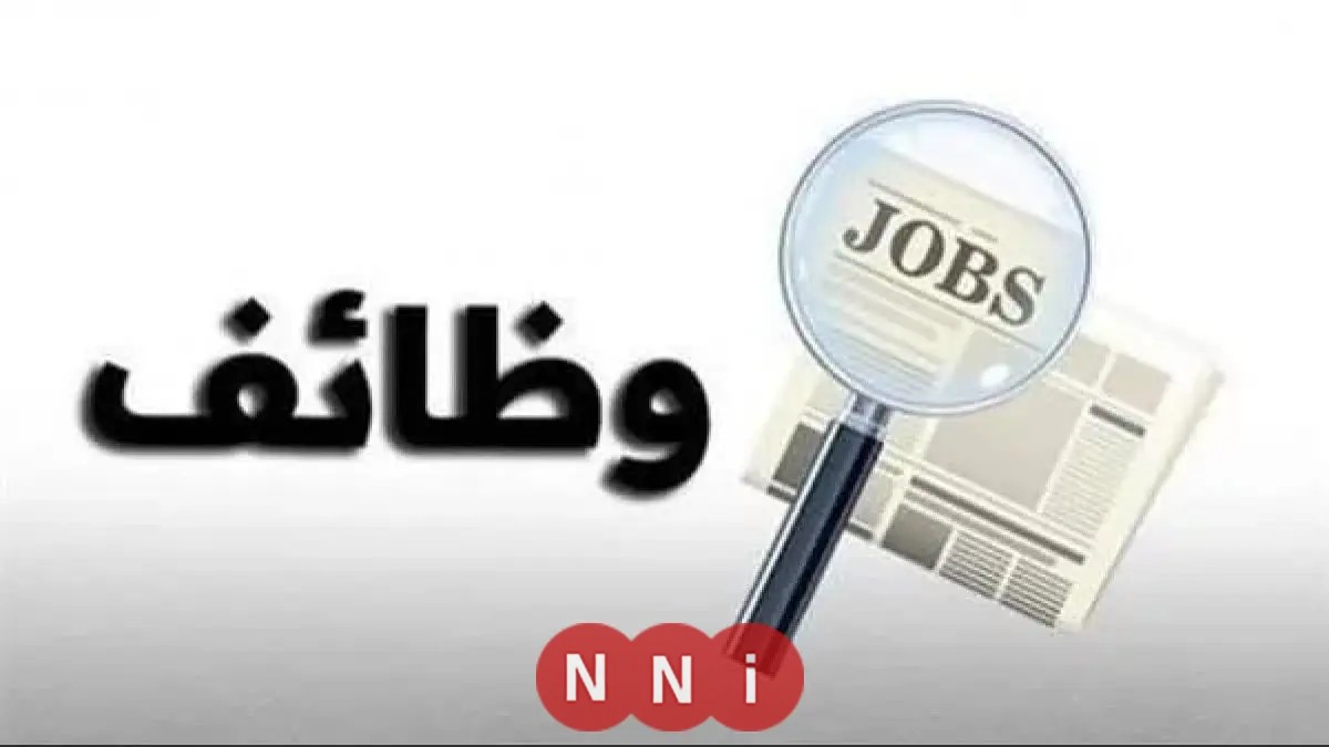 فرص عمل ممتازة للشباب: تفاصيل هامة عن النشرة القومية للتوظيف من وزارة العمل