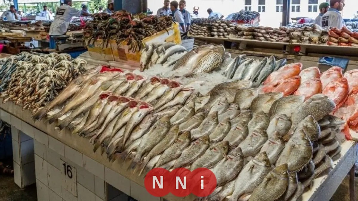 تعرف على أسعار الأسماك اليوم الأحد: البرانيس يبدأ من 90 جنيهًا