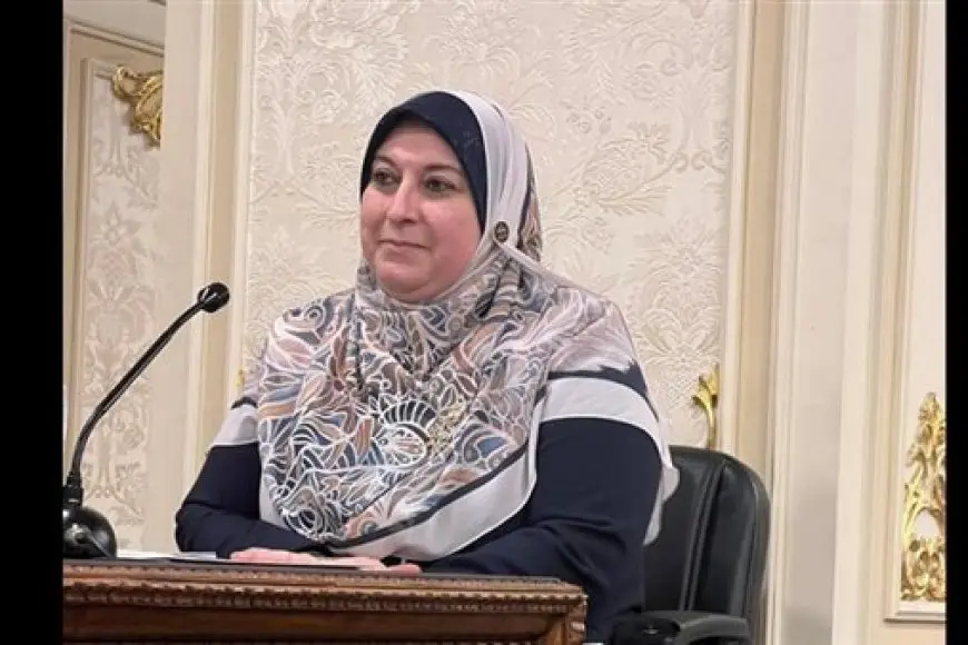 النائبة حنان حسني: أولياء الأمور السبب الرئيسي في الدروس الخصوصية.. واؤيد إغلاق السناتر بشدة