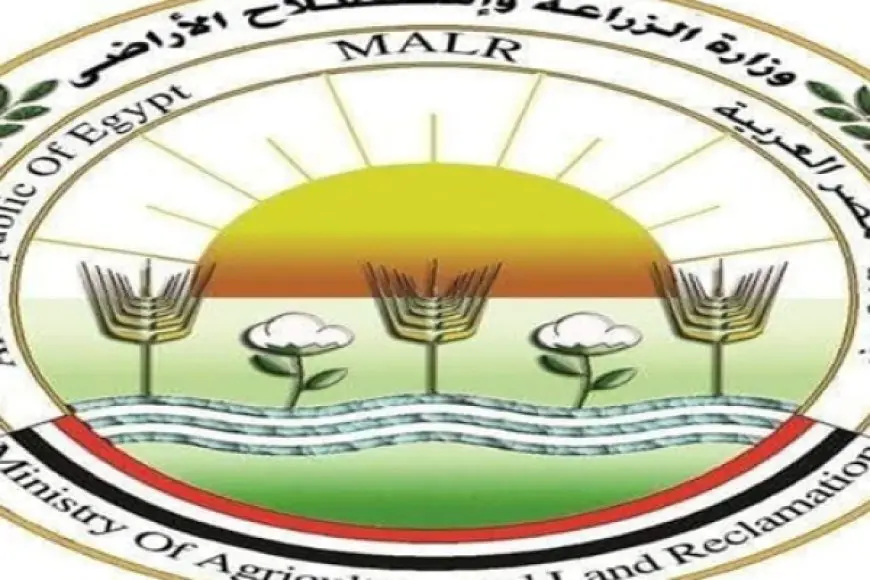 الزراعة: صادرات مصر الزراعية تتجاوز 6.4 مليون طن حتى الآن