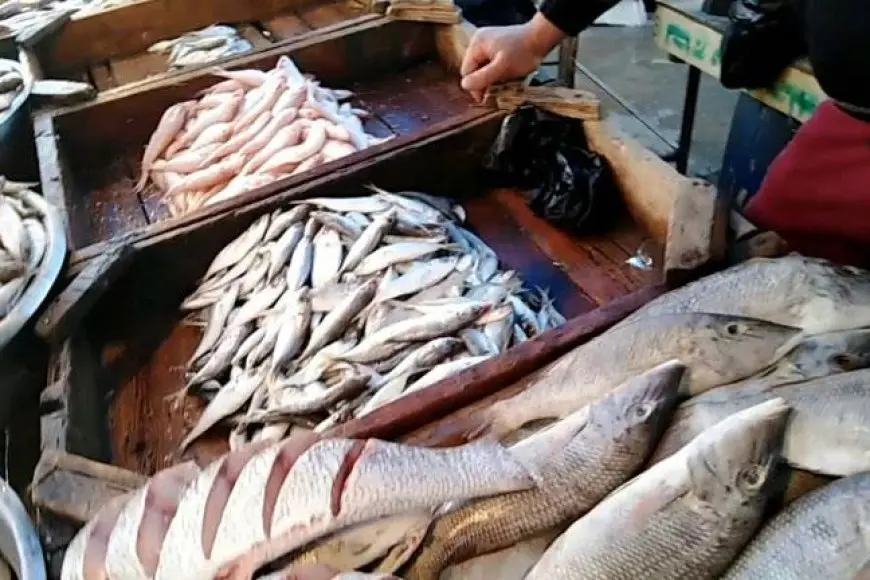 86 جنيها لكيلو البلطي.. أسعار السمك اليوم السبت في سوق العبور