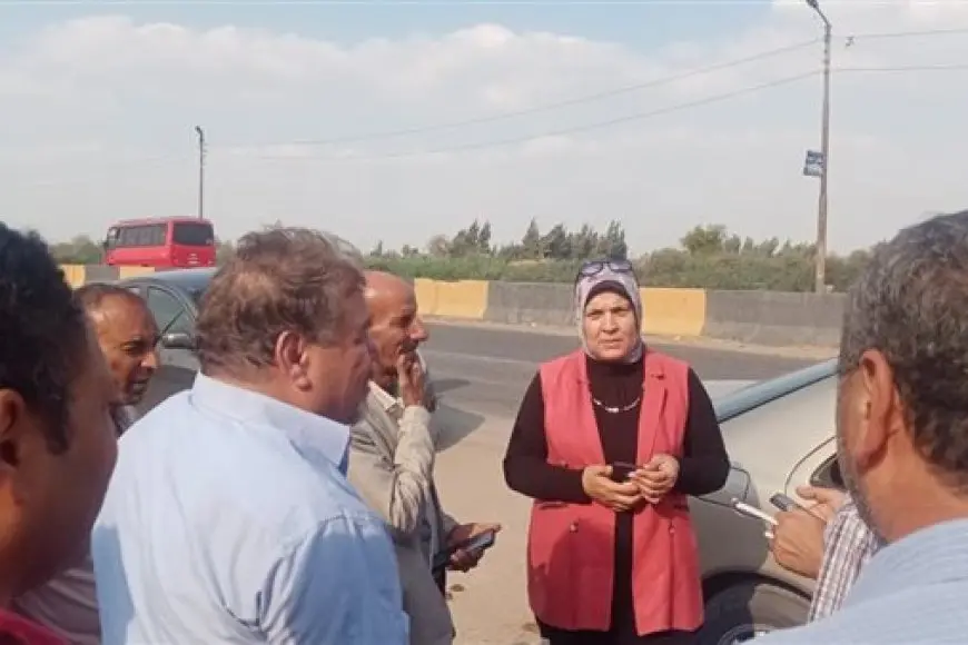 وزارة البيئة تتفقد محافظتى الدقهلية والشرقية لمكافحة السحابة السوداء