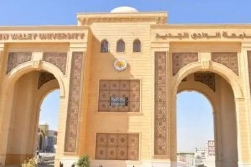نواب الوادي الجديد يطالبون الحكومة بإنشاء مستشفى جامعي ودعم منظومة الصحة والعلاج