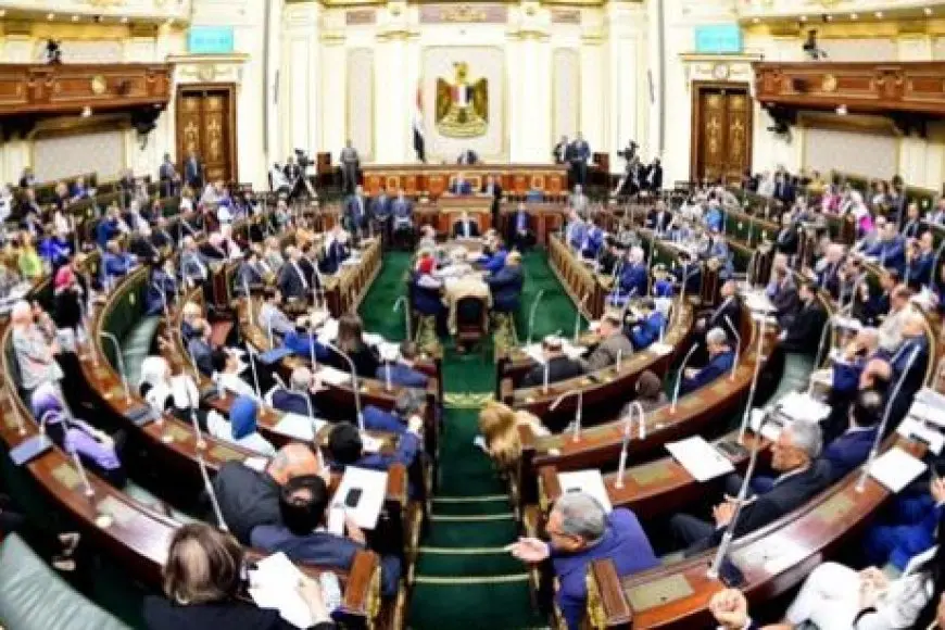 طلب إحاطة للحكومة لمواجهة السلع الغذائية مجهولة المصدر