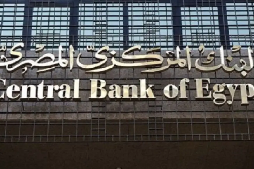المركزي: صافي الاحتياطي الأجنبي لمصر يرتفع إلى 46.9 مليار دولار بنهاية نوفمبر