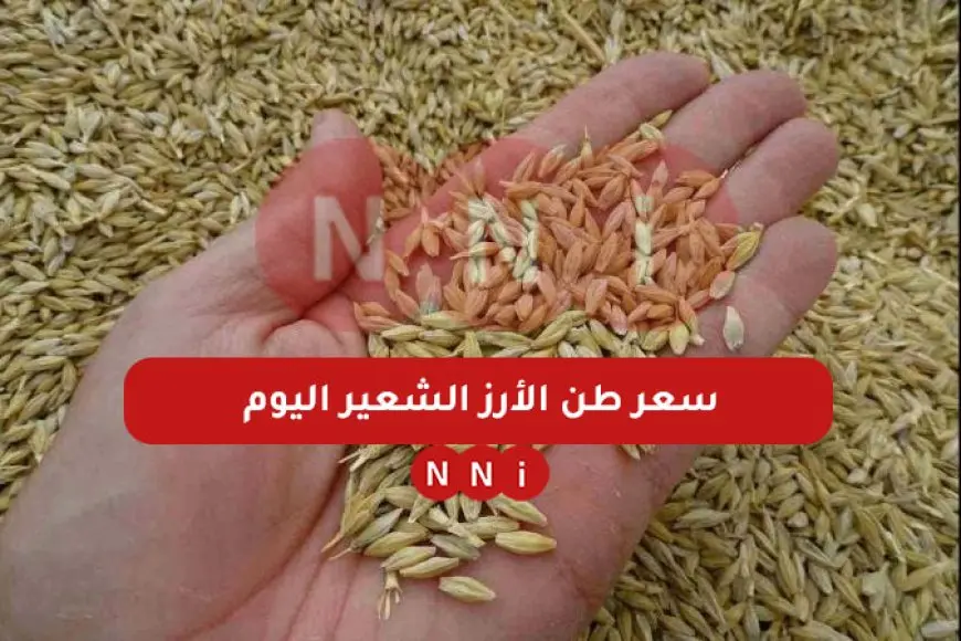 سعر طن الأرز الشعير اليوم الثلاثاء 7 يناير 2025 في مصر واخر اسعار الارز الابيض في الاسواق