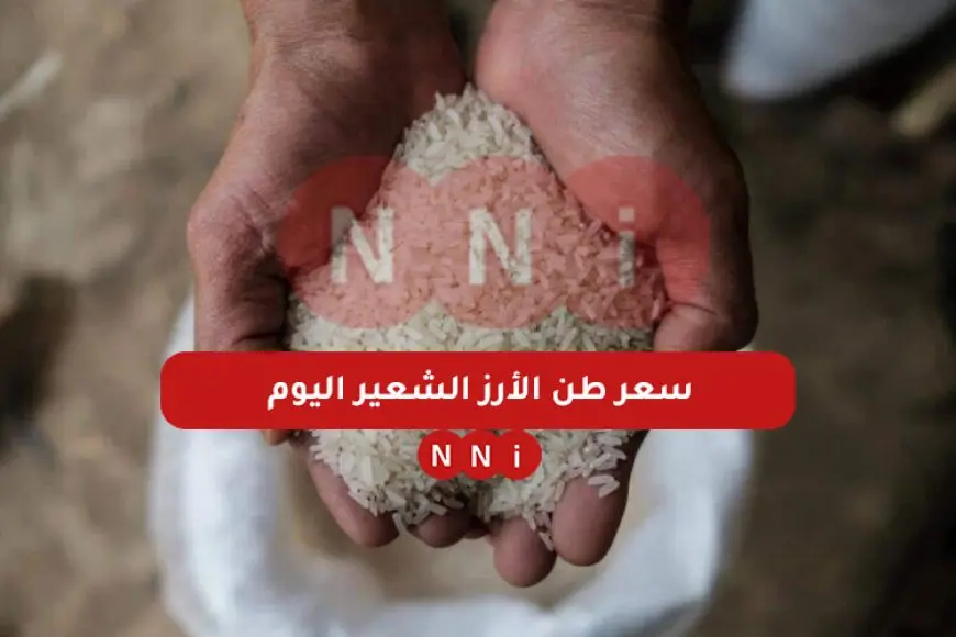 عريض ورفيع.. سعر طن الأرز الشعير اليوم الاربعاء 8 يناير 2025 أسعار السلع الغذائية الأساسية في الاسواق والمحلات