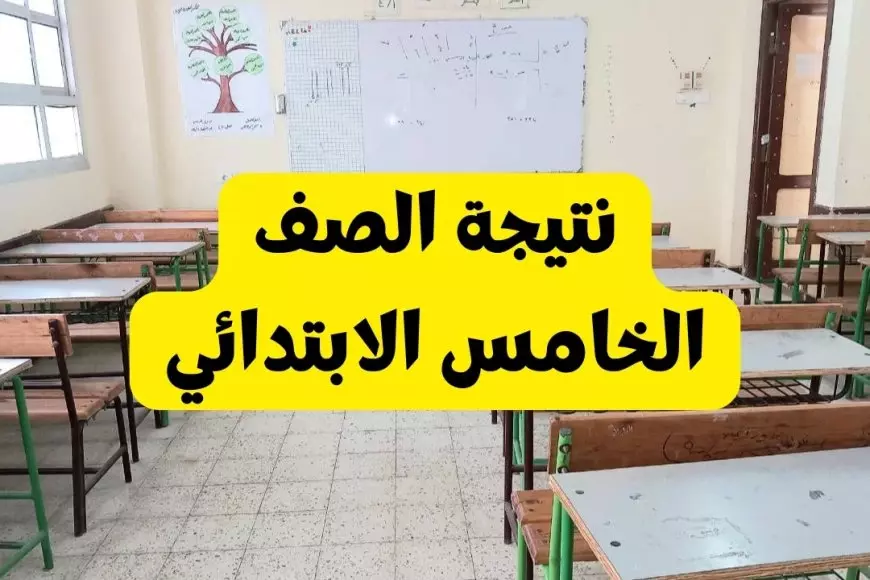 نتيجة الصف الخامس الابتدائي بالاسم ورقم الجلوس والرقم القومي الترم الثاني 2025 كل المحافظات عبر موقع وزارة التربية والتعليم