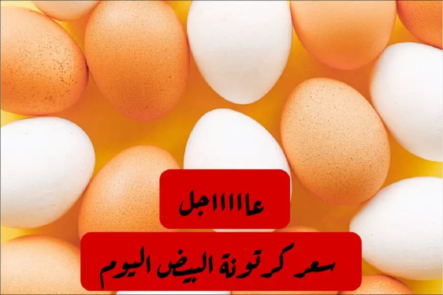 سعر طبق البيض اليوم الخميس 30 يناير 2025 في الأسواق المصرية للمستهلك وداخل المحلات التجارية
