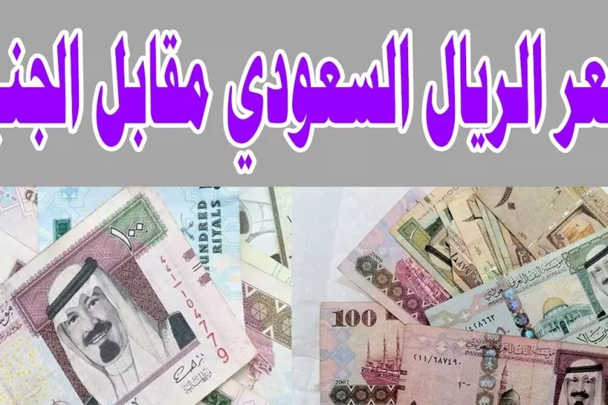 تحديث جديد من البنك المركزي.. سعر الريال السعودي مقابل الجنيه اليوم في البنوك المصرية