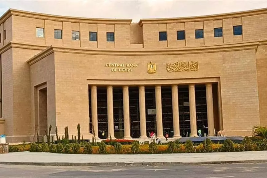 البنك المركزي يعلن ضوابط مبادرة دعم قطاع الصناعة بقيمة 30 مليار جنيه بفائدة 15%