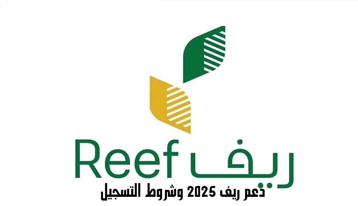 شروط التسجيل في دعم ريف 2025 للرجال والنساء وخطوات الاستعلام عن الدعم