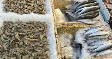 ثعبان البحر أكلة بورسعيدية تجمع الفخامة والطابع الشعبى.. صور