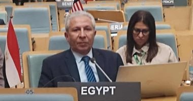 مصر تؤكد التزامها بدعم الأمن الغذائى الإفريقى بقمة مصايد الأسماك بأديس أبابا