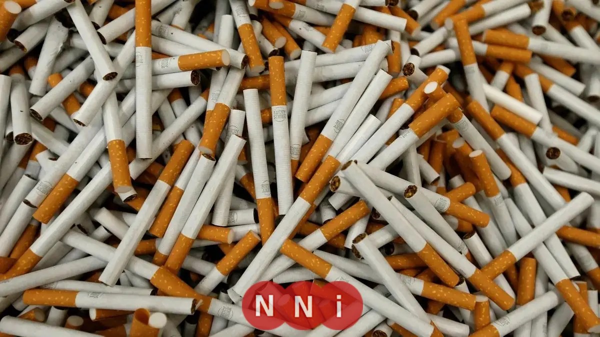 كل ما تحتاج معرفته عن ارتفاع أسعار السجائر في نوفمبر المقبل وتوضيحات شعبة الدخان