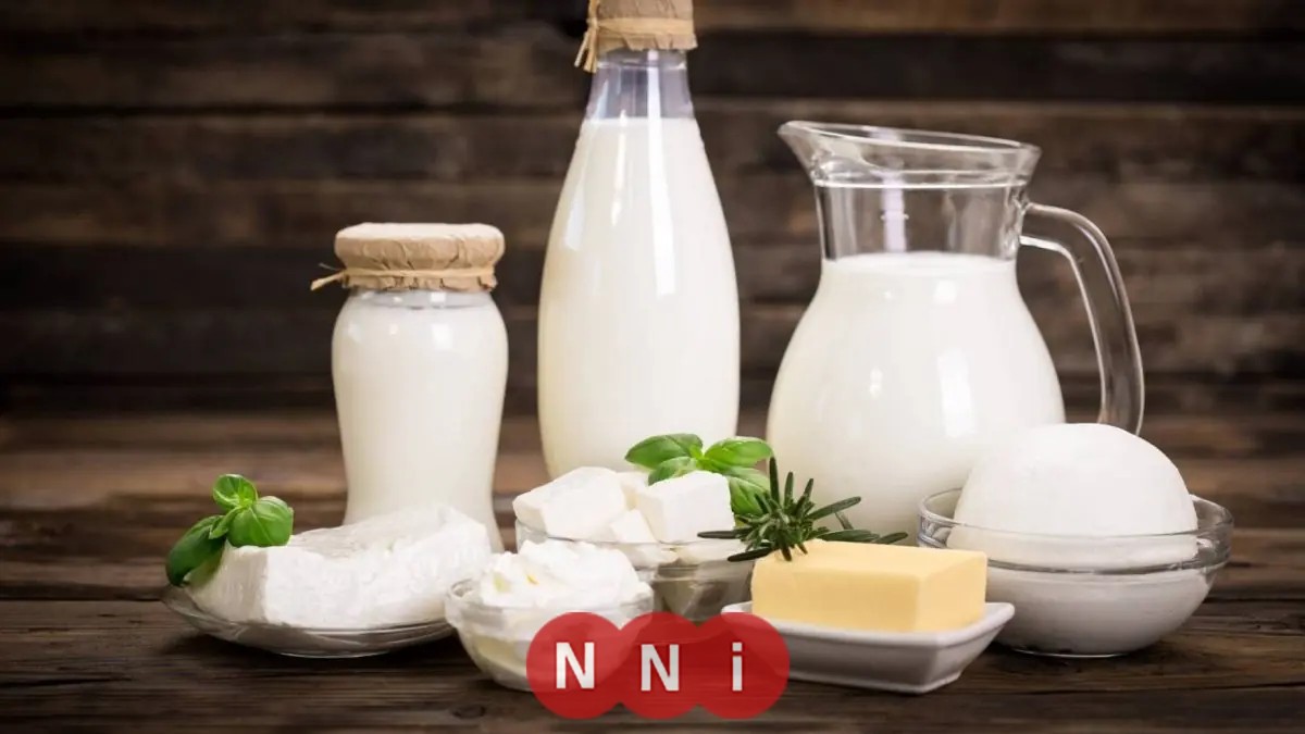 تعرف على أسباب ارتفاع أسعار الألبان في الشتاء كما توضحه شعبة المواد الغذائية