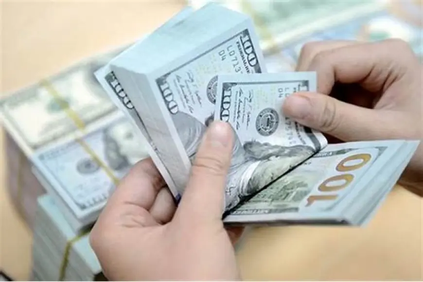 سعر الدولار الامريكي اليوم مقابل الجنية المصري في السوق السوداء والبنوك اليوم السبت 11 مايو 2024