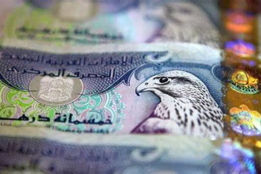 الإماراتي يقترب من الـ 13 جنيه .. سعر الدرهم الإماراتي اليوم في السوق السوداء والبنوك الرسمية مقابل الجنيه المصري
