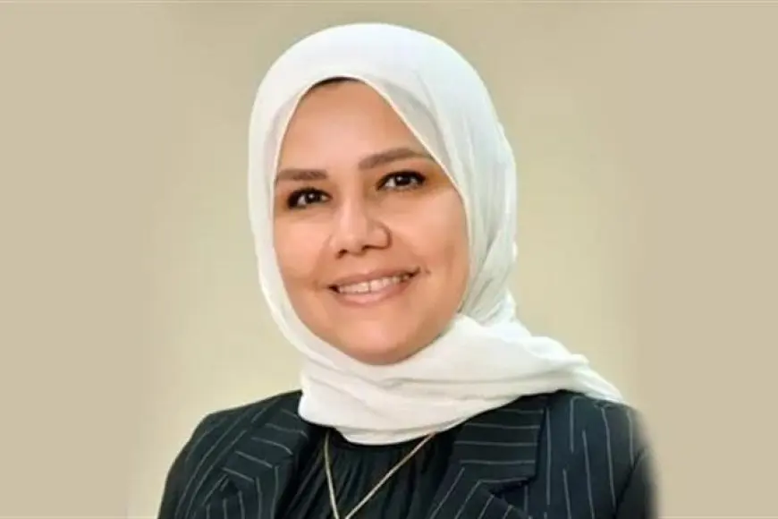 رئيس مصلحة الضرائب: منظومة المخاطر الإلكترونية حصلت أكثر من 10 مليارات جنيه من التهرب الضريبي