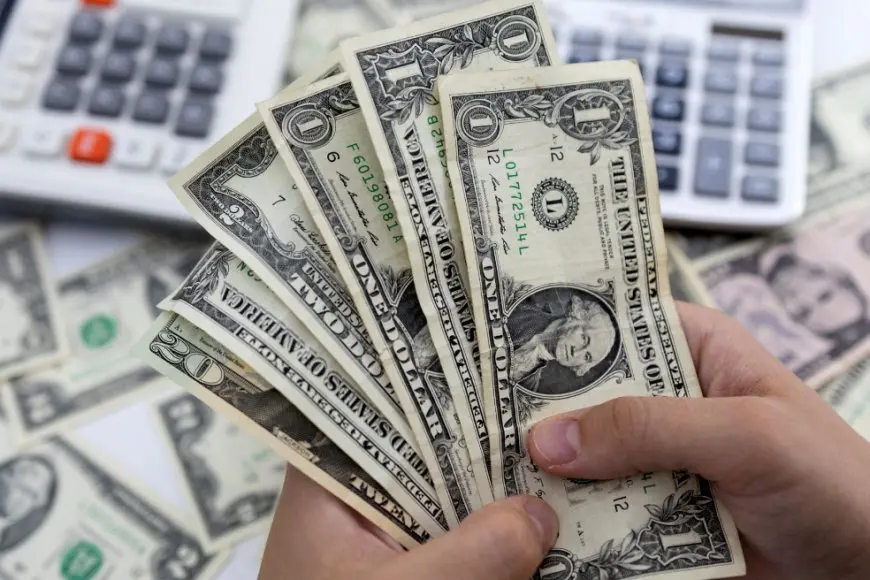 سعر الدولار مقابل الجنيه اليوم السبت 19 أكتوبر 2024