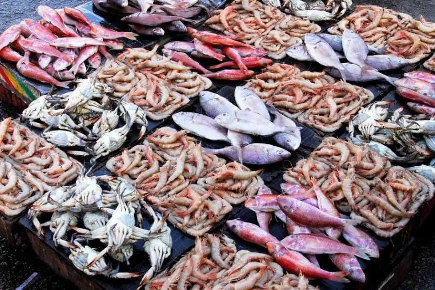 أسعار الأسماك اليوم السبت في سوق العبور.. الجمبري 520 جنيها