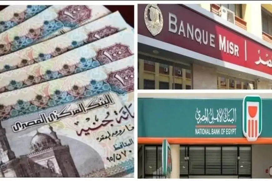 أعلى شهادات ادخار في 2025.. عائد سنوي وشهري
